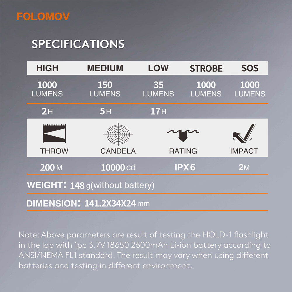 Folomov Hold-1 11